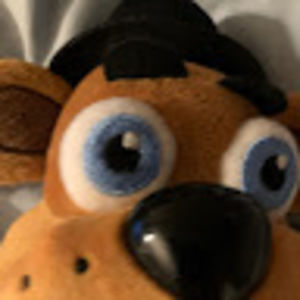 Meet your Posher, Bailey